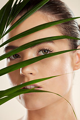 Image showing Woman, face and beauty with leaf in skincare for cosmetics or healthy natural facial treatment. Portrait of beautiful female with organic plant, leafs or satisfaction for self love, care or skin