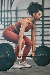 Image showing Gym, barbell exercise and black woman doing muscle fitness performance for body health, strength training or bodybuilding. Arm workout, athlete wellness lifestyle and strong bodybuilder weightlifting