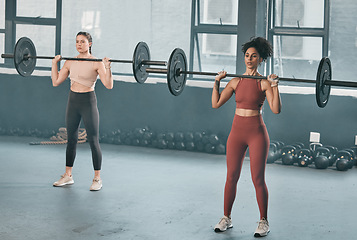 Image showing Gym, barbell workout and diversity women doing muscle fitness performance, exercise or body building. Strong girl, health lifestyle and strength training athlete, people or bodybuilder weightlifting