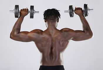 Image showing Fitness, exercise and training of strong black man with dumbbell in studio. Body or back of bodybuilder person doing workout to train with weights for power, health and wellness or growth motivation