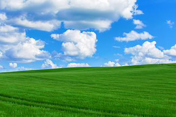 Image showing Green Hills Blue Clear Sky Landscape Concept