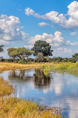 Image showing African landscape, Bwabwata, Namibia