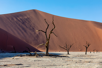 Image showing beautiful sunrise landscape of hidden Dead Vlei