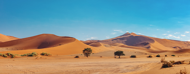 Image showing sand dunes at Sossusvlei, Namibia