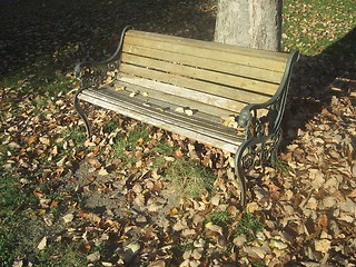 Image showing Bench