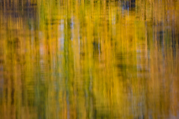 Image showing The cool autumn morning at the pond