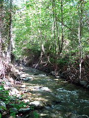 Image showing The natural way. Cyprus