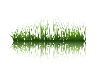 Image showing Grass On Water