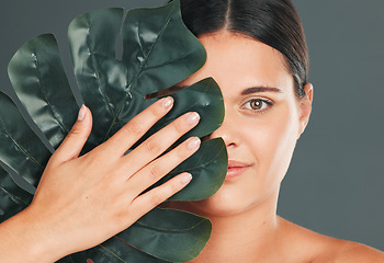 Image showing Palm leaf, face and woman in portrait with hand for beauty, manicure and natural cosmetics isolated on studio background. Eco friendly cosmetic care, facial and skincare with dermatology and wellness