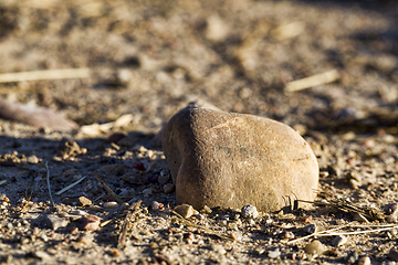 Image showing details sand