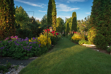 Image showing in the botanical garden