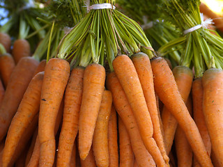 Image showing bunch of carrots