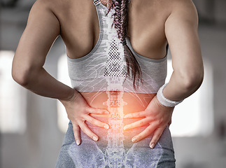 Image showing Spine, anatomy and back of a woman with pain during fitness, training and exercise with a problem. X ray, medical and athlete with injury or accident from gym sports, workout or cardio inflammation