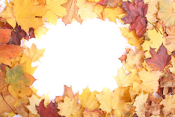 Image showing autumn background