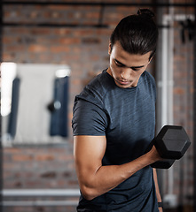 Image showing Fitness, arm and dumbbell with a sports man training in a gym for strong or healthy muscles. Bicep, exercise and weightlifting with a male athlete or bodybuilder in a health club for a workout