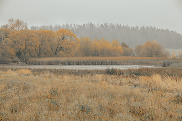 Image showing The cool autumn morning at the pond