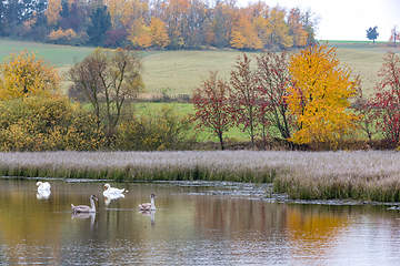 Image showing The cool autumn morning at the pond