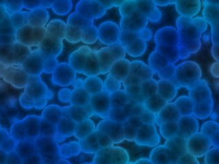 Image showing 3d blue cells