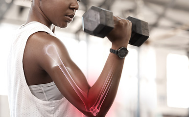 Image showing Bone hologram overlay, black woman athlete and weight training of a strong female athlete. Gym workout, strength exercise and arms muscle gain with red joint inflammation illustration with fitness