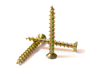 Image showing Screw