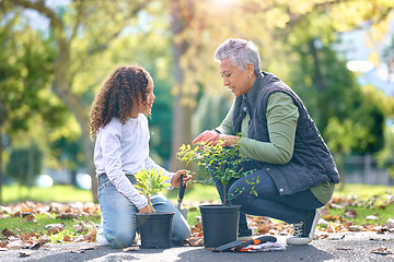 Image showing Woman, child and plant while gardening in a park with trees in nature, agriculture or garden. Volunteer team planting for growth, ecology and sustainability for community environment on Earth day