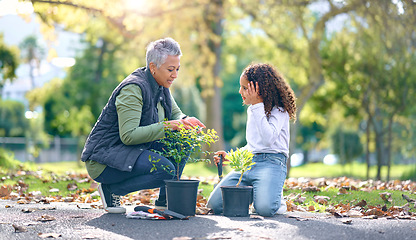 Image showing Child, woman and plant for gardening in a park with trees in nature, agriculture or garden. Volunteer team learning growth, ecology and sustainability for outdoor community enviroment on Earth day