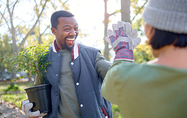 Image showing High five, gardening and people in a garden happy and celebrating plant growth for sustainability in the environment. Volunteer, black man and team excited for planting as teamwork in a park