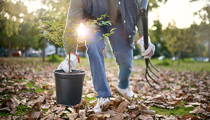 Image showing Agriculture, plant and agro person gardening in a park or field with a pitchfork and equipment. Eco friendly, environmental and gardener planting organic greenery in sustainable garden in countryside