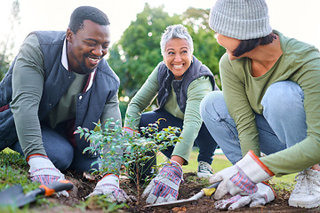 Image showing Community service, volunteering and people plant trees in park, garden and nature for sustainable environment. Climate change, soil gardening and sustainability for earth day, growth or green ecology