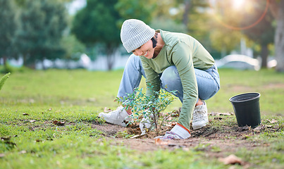 Image showing Plant, nature and eco friendly woman gardening in a park for sustainable or agriculture garden. Environment, seeds and Asian female gardener planting natural greenery in outdoor field in countryside.