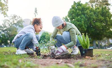 Image showing Family, plant and gardening in a park with trees in nature environment, agriculture or garden. Volunteer woman and child planting for growth, ecology and sustainability for community on Earth day
