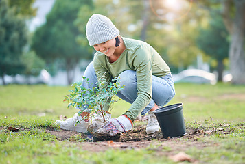 Image showing Nature, plant and woman gardening in a park for sustainable, agriculture or eco friendly garden. Environment, agro and Asian female gardener planting natural greenery in outdoor field in countryside.
