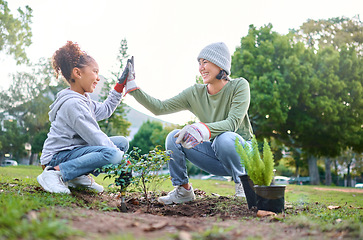 Image showing High five, child and woman with plant for gardening, ecology and agriculture in a park with trees. Volunteer family celebrate growth, nature and sustainability for community environment on Earth day