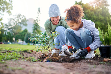 Image showing Volunteer, child and woman with plant for gardening in park with trees in nature environment. Happy family team helping and planting for growth, ecology and sustainability for community on Earth day