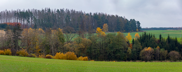 Image showing Autumn landscape color trees and meadow