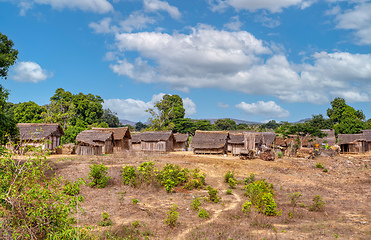 Image showing Africa malagasy huts north Madagascar