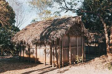 Image showing Africa malagasy huts north Madagascar