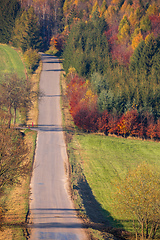 Image showing Autumn forest nature. Vivid fall colors