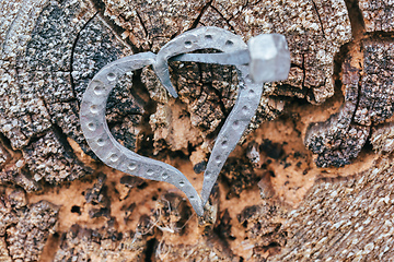 Image showing forged heart and nail love concept