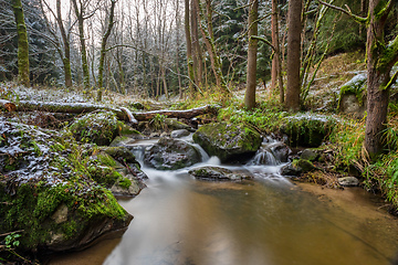 Image showing small mountain creek in a woodland