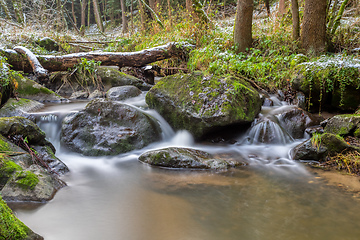 Image showing small mountain creek in a woodland