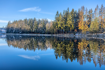 Image showing Beautiful Reflections of tree covered by snow in Lake