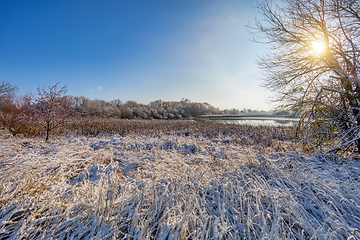 Image showing The cool autumn morning at the pond