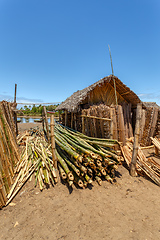 Image showing firewood on street marketplace, Maroantsetra Madagascar