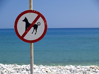 Image showing no dogs