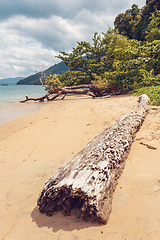 Image showing Beautiful dream paradise beach, Madagascar