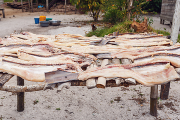 Image showing Drying fish in the sun, Madagascar.