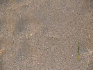 Image showing sand background