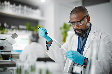 Image showing Man, thinking or pipette for test tubes in laboratory, medical science research or gmo food engineering. Worker, dropper or plant scientist and biology glass equipment in sustainability leaf research