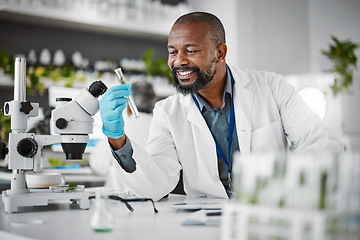 Image showing Science, sustainability and sample with a black man doctor working in a laboratory for research or innovation. Biology, microscope or healthcare with a male scientist at work in a lab for development